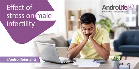 Effects Of Stress On Male Fertility Androlife