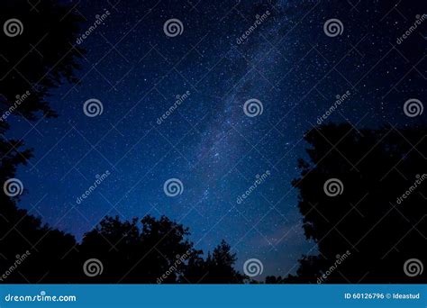Night Starry Sky Scene Stock Photo Image Of Clouds Nature 60126796
