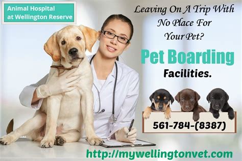 Match made on care.com every 3 minutes, so find your perfect pet care provider today. Best Pet Care in Wellington FL | Pet clinic, Animal ...