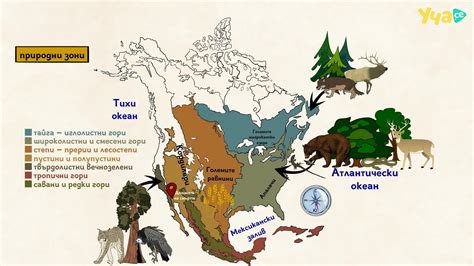 Интересно Северна Америка Води и природни зони Начален преговор География 7 клас