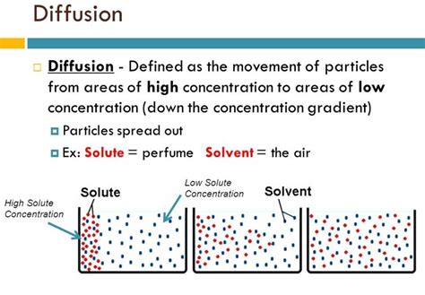 What Is Diffusion Please Explain In Brief
