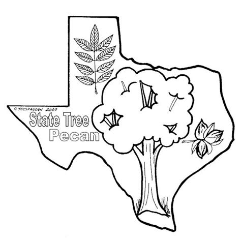 Texas Coloring Pages Coloring Home