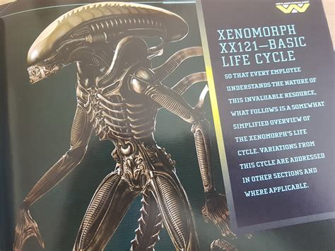The Names Of The Alien Alien Vs Predator Galaxy