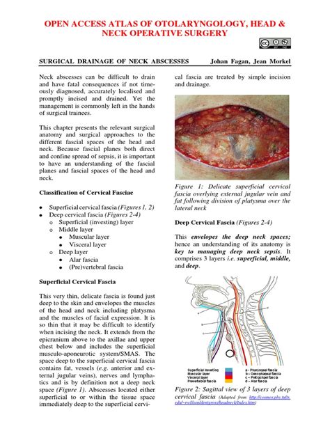 Surgicaldrainageofdeepneckabscesses Common Carotid Artery Neck