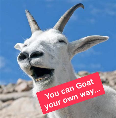 Laughing Goat Meme Generator Piñata Farms The Best Meme Generator