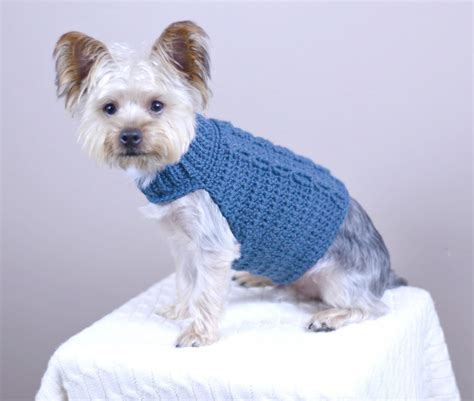 Easy Crochet Dog Sweater For Small Dogs Garcia Dentoorse