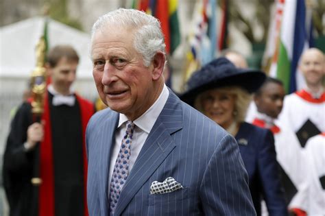 Prince charles is the heir apparent to the british throne as the eldest child of queen elizabeth ii. Britain's Prince Charles tests positive for the coronavirus