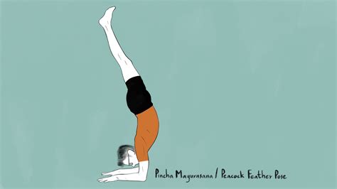 How To Do Pincha Mayurasana Yoga Pose Tutorial And Benefits Adventure