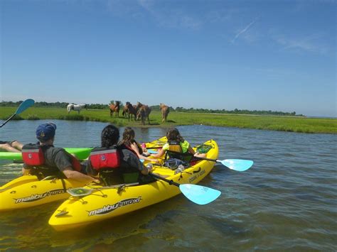 Kayak Rentals And Tours Provisions At Assateague Island National