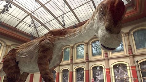 Dinosaurs Brought Roaring Back To Life In 3d Museum Tours News The