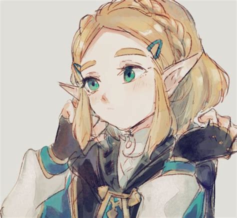 Pin By Xuânˆˆ On Zelda Botw （ ＞ω＜ ） Legend Of Zelda