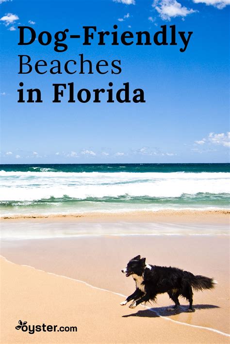 Places In Florida Florida Vacation Florida Travel Florida Beaches