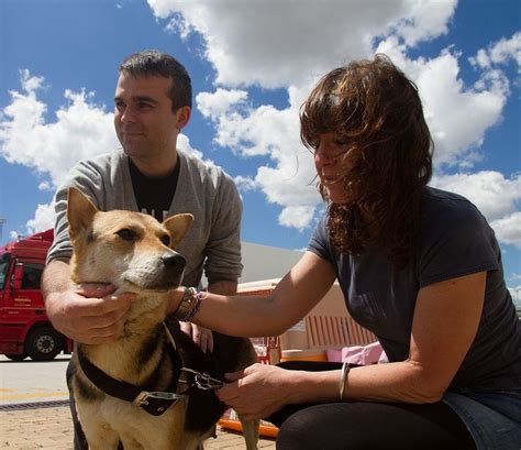 Igualdad Animal Trae A España A Vita Una Perra Liberada En China Para