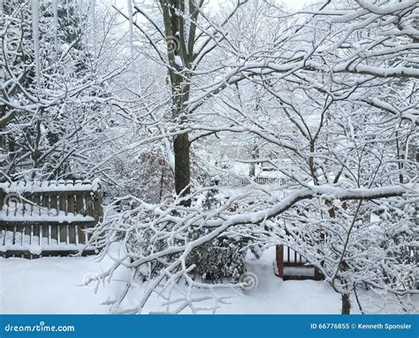 Winter Wonderland Stock Image Image Of Soft Peaceful 66776855