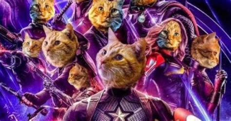 Fat cat is a felonious gray tabby cat and one of the rescue rangers most frequent antagonists. Will We See Goose, The Cat In Avengers: Endgame? Here's ...