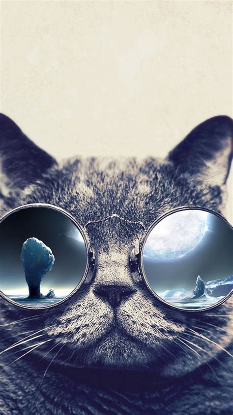 In compilation for wallpaper for cool, we have 20 images. Cool Cat Wallpaper (71+ images)