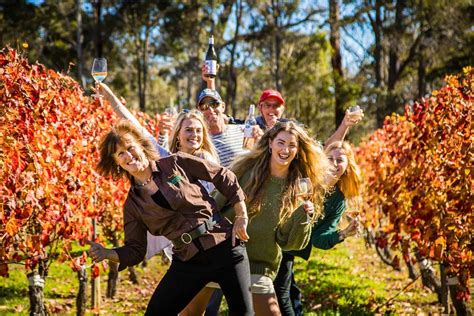 bushtucker margaret river winery brewery and river tours