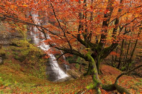 Waterfall In Autumn Forest Hd Wallpaper Background Image 2048x1366