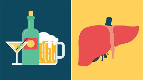 Alcohol And The Liver Know What Is At Stake