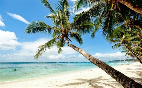The 11 Sexiest Beaches Around The World Beach Beautiful Islands