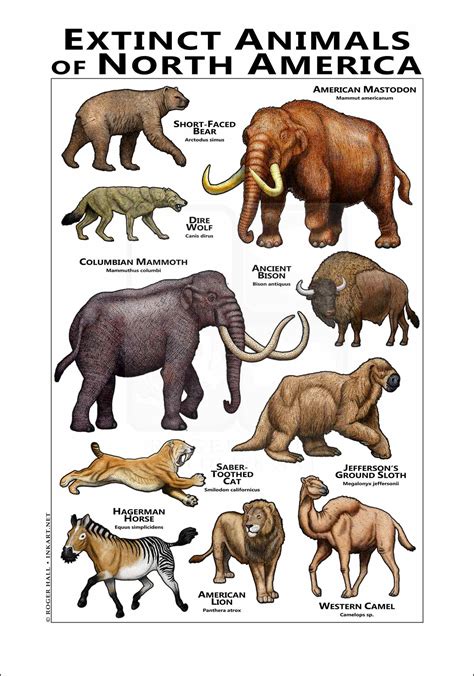 Extinct Mammals Of North America Poster Print Inkart