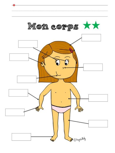 Corps Parties Corps Maternelle Activités Du Corps Humain Parties Du
