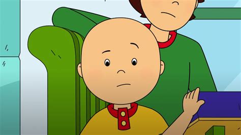 Why Doesnt Caillou Have Hair 4 Myths And Real Reasons Explained In Detail