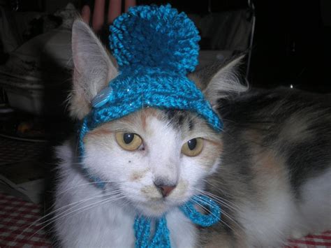 Crocheted Cat Or Dog Hat With Scalloped Brim And Pompom Etsy