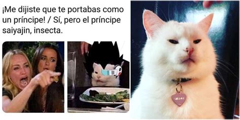 El Origen Del Meme Viral Del Gato Blanco Y La Mujer Que Le Grita Tele