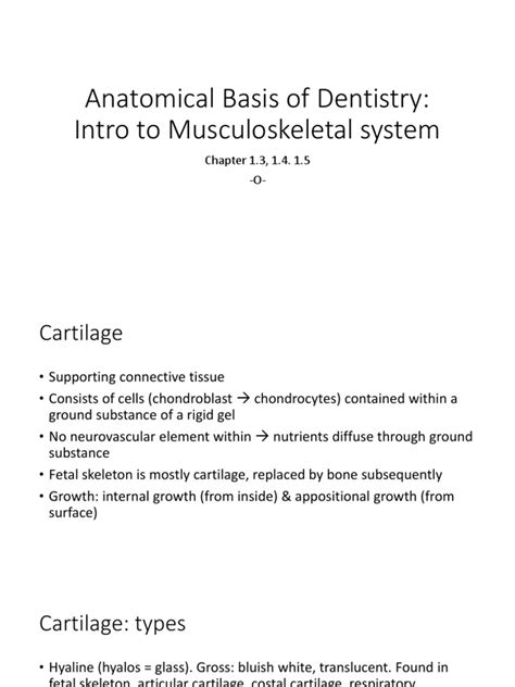 Anatomical Basis Of Dentistry Bone Cartilage
