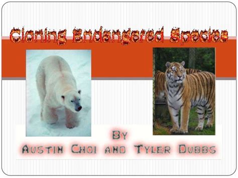 Endangered Species Cloning