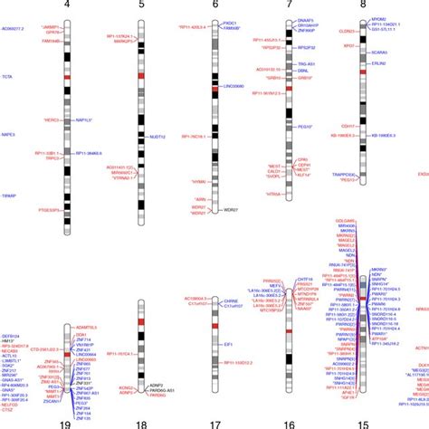 Genomic Map Of Chromosome X Localization And Position Of F8 Gene And