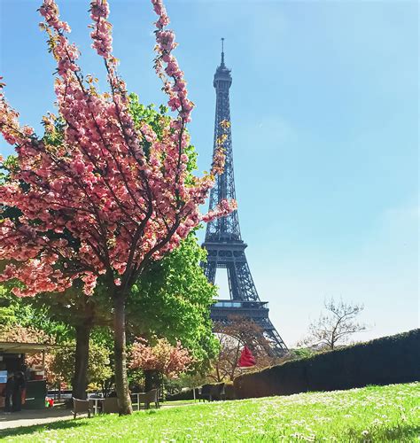 Eiffel Tower And Blue Sky Famous Landmark In Paris France Photograph