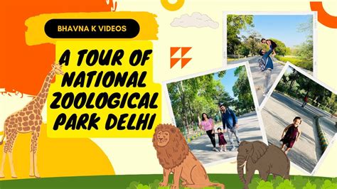 Welcome To The Wild Exploring The National Zoological Park In Delhi