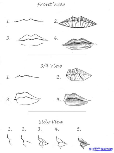 Learn how to draw a face in 8 easy steps: Ideas Of Draw Lips Step By Step 1000 Images About Tins On ...