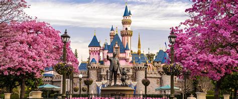 Disneyland Theme Park Insider