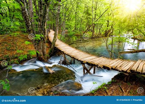Deep Forest Stream With Crystal Clear Water In The Sunshine Plitvice