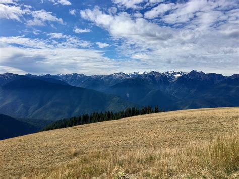 Olympic National Park Part 4 Hurricane Ridge And Port Angeles