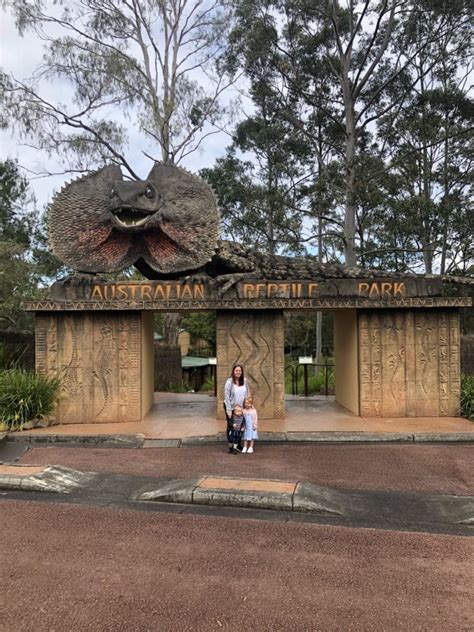 Slithering Fun: A Review of Australian Reptile Park - Newy with Kids
