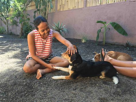 About Us - Pet Paradise Bali