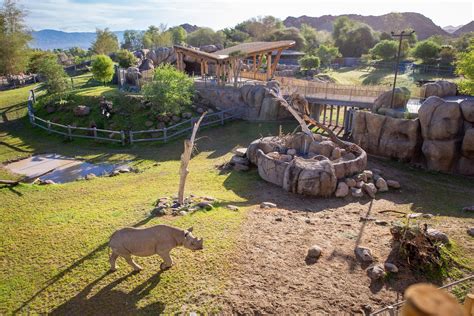 Echo Digital Virtual Tour Of Rhino Savanna At The Living Desert Zoo