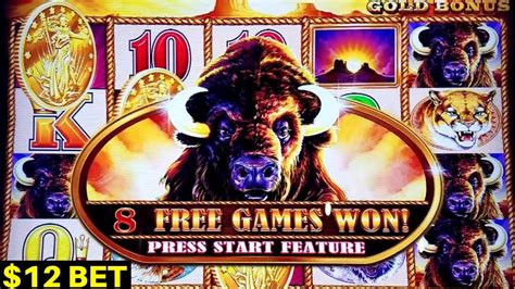 Buffalo Gold Slot Machine Big Win W12 Bet Bonus Chasing Bonus On
