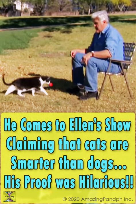 Are cats smarter than dogs. Are cats smarter than dogs? Jay Leno proves it once and ...