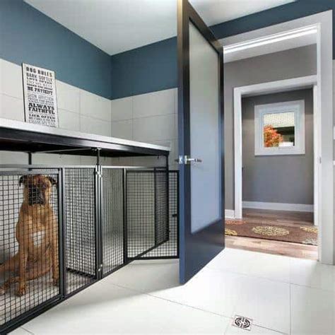 Dog Kennel Interior Design
