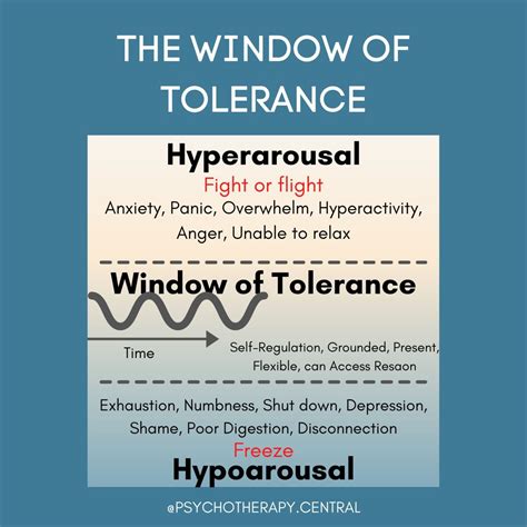 What Is The Window Of Tolerance