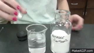 Sugar dissolving in water on Make a GIF