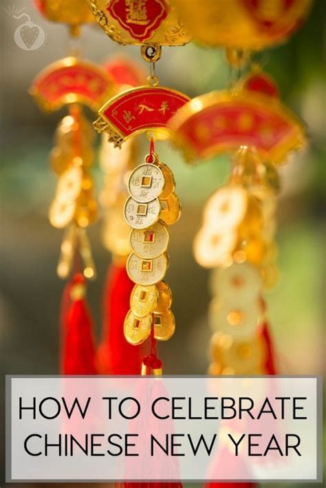 Granny celebrates 100th birthday with skydive and great white shark cage dive. How to Celebrate Chinese New Year