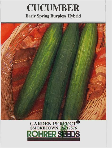 Early Spring Burpless Hybrid Cucumber Rohrer Seeds