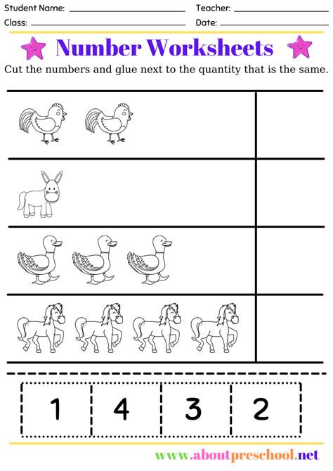 Number Worksheet For Kindergarten