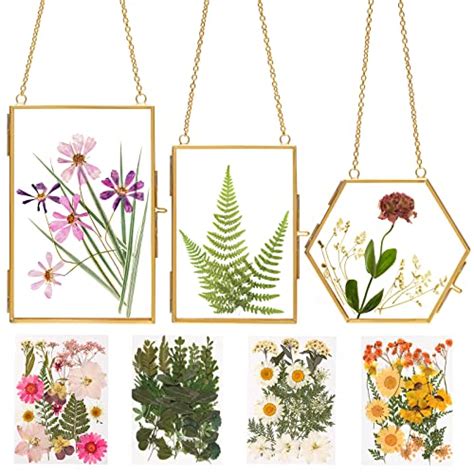 Best Frames For Pressed Flowers